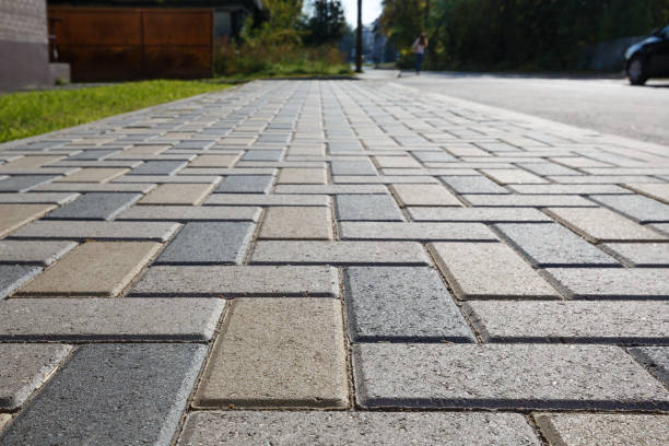 Best Local Driveway Pavers  in Shackle Island, TN