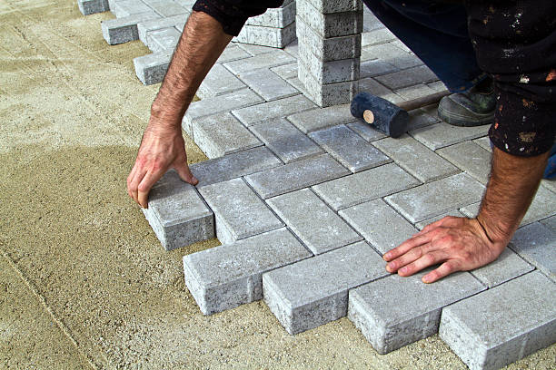 Best Driveway Pavers Near Me  in Shackle Island, TN