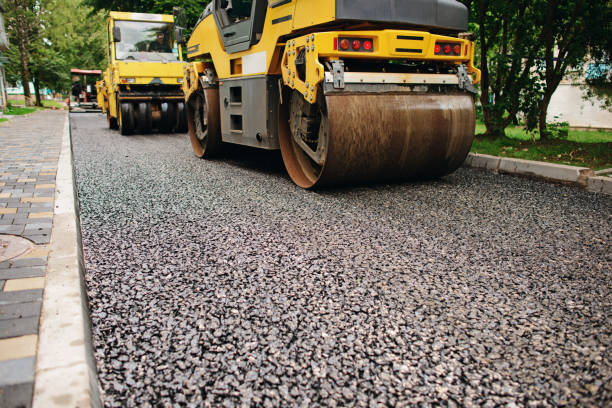 Best Local Driveway Pavers  in Shackle Island, TN